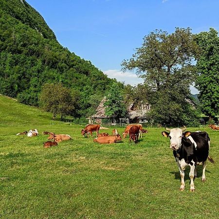 Charming Blacksmith'S House @ Lake Bohinj Exterior foto
