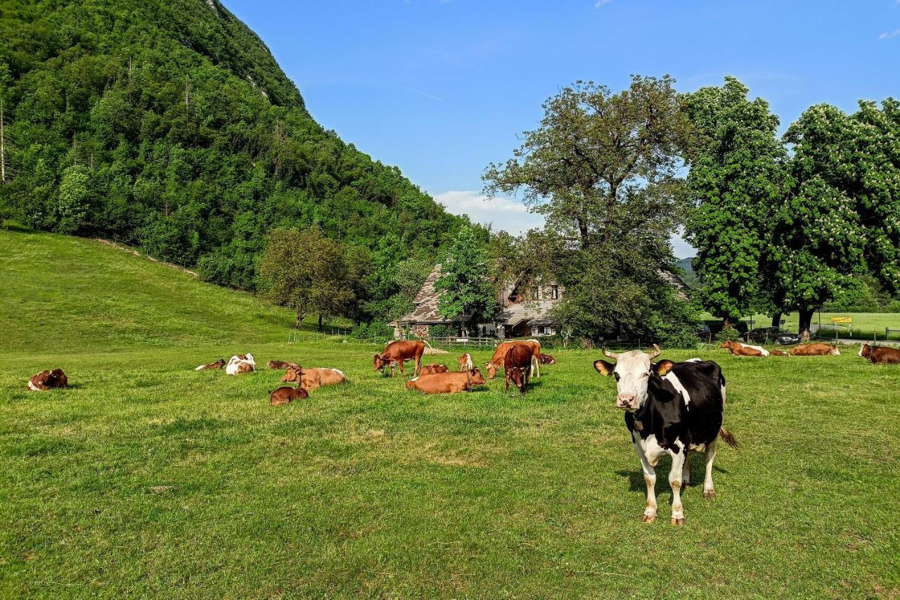 Charming Blacksmith'S House @ Lake Bohinj Exterior foto